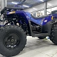 Квадроцикл PROMAX WILD 300