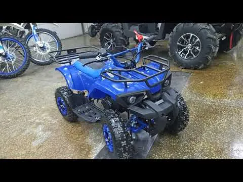 Обзор квадроцикл PROMAX ATV MINI 2T